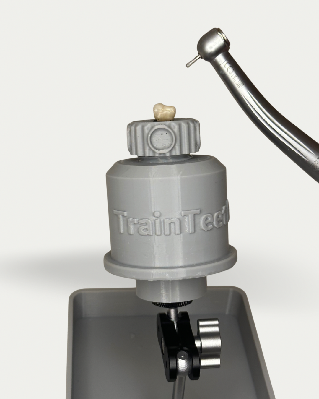 TrainTeeth dental training kit