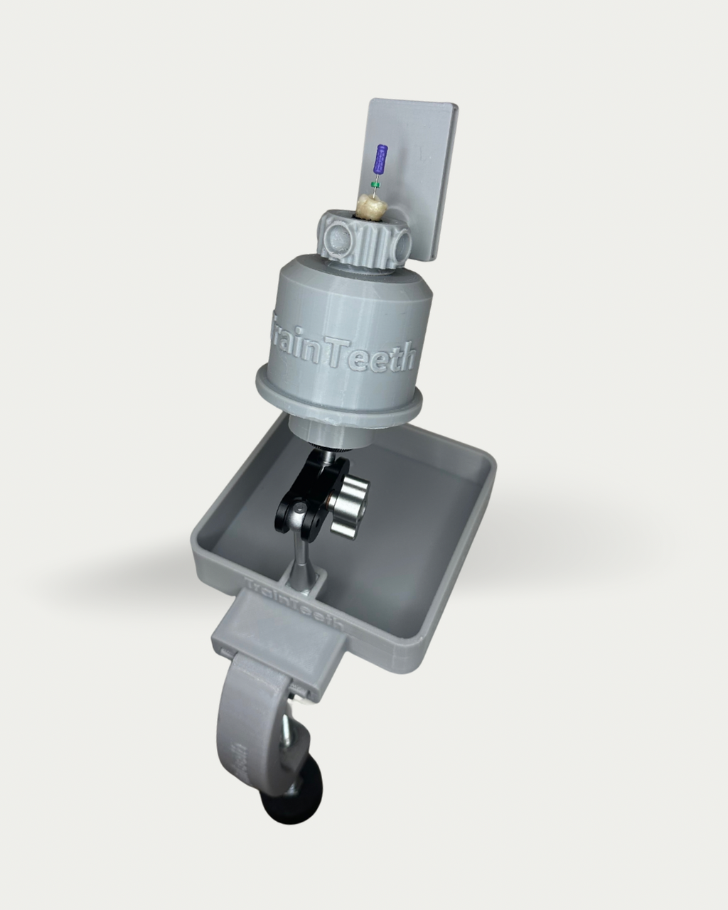 TrainTeeth dental training kit