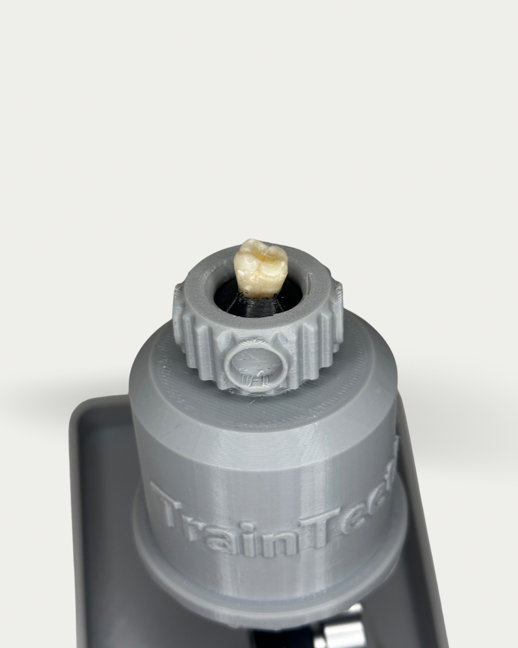 TrainTeeth dental training kit