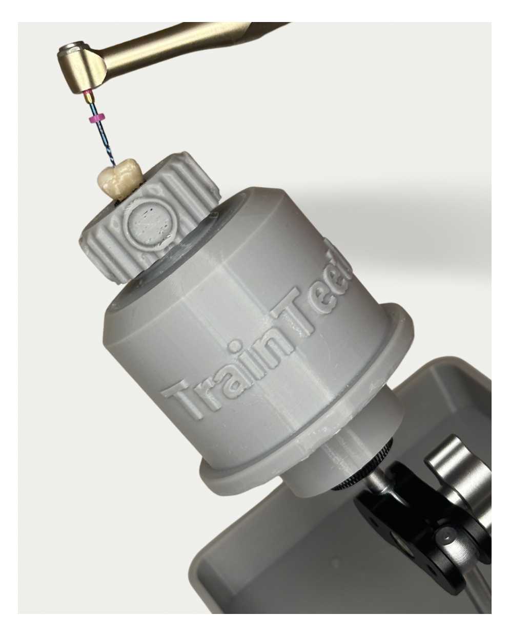 TrainTeeth dental training kit